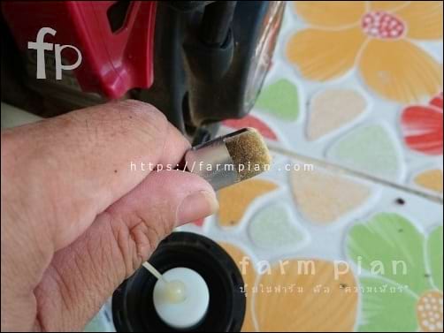 ตัวกรองน้ำมัน ในถังน้ำมันของเครื่องตัดหญ้ารุ่นนี้ มีลักษณะคล้ายกับผ้าสักหลาด