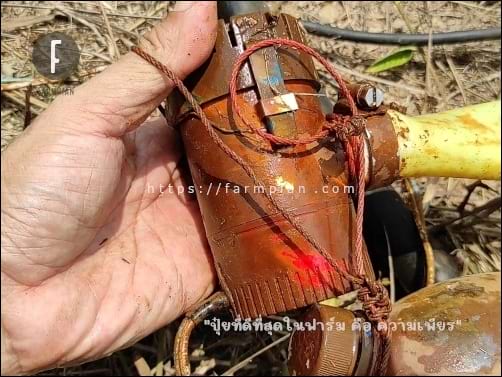 ปั๊มน้ำขนาดเล็ก submersible pump 1100gph แช่น้ำทนแค่ไหน มาดูกันครับ