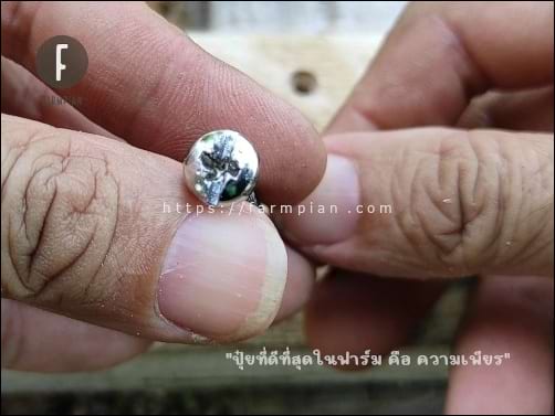 หัวสกรูที่ถอดออกมาสำเร็จแล้ว และสกรูตัวนี้ยังนำไปใช้งานต่อได้อีก ไม่ต้องทิ้ง เพียงแต่ต้องใช้กับไขควงปากแบนเท่านั้น