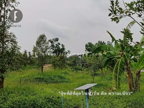 มุมนี้ถ่ายติด ชุดรับสัญญาณ เปิด-ปิด วาล์วน้ำอยู่ด้วย เราตัดแต่หญ้า ไม่ตัดเสาสัญญาณนะ