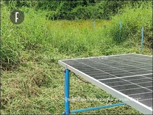 แผงโซล่าเซลล์ ตั้งไว้ริมคลอง ที่เป็นเนินดินเตี้ยๆ และหญ้าขึ้นดีมากๆ โตเร็ว เดินมาดูแผงทีไร ก็ต้องได้ตัดหญ้าทุกครั้งไป