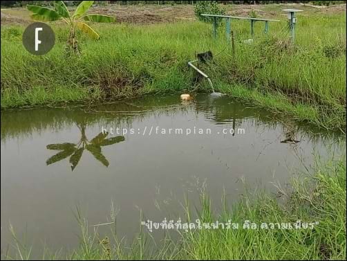 สระน้ำเล็กๆ ปลายทางของน้ำจากคลอง ไหลมาลงสระลูกนี้ เพื่อไล่น้ำเปรี้ยวลงไปด้านล่าง เวลาดูดน้ำจากสระไปใช้ จะได้มีแต่น้ำดี ที่มีค่า PH ไม่ต่ำ ไม่เปรี้ยว ไปรดทุเรียน