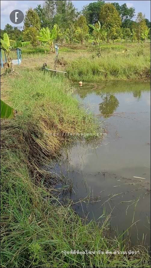 น้ำไม่ไหลลงสระน้ำแล้ว ปั๊มน้ำริมคลองหยุดทำงานแล้ว