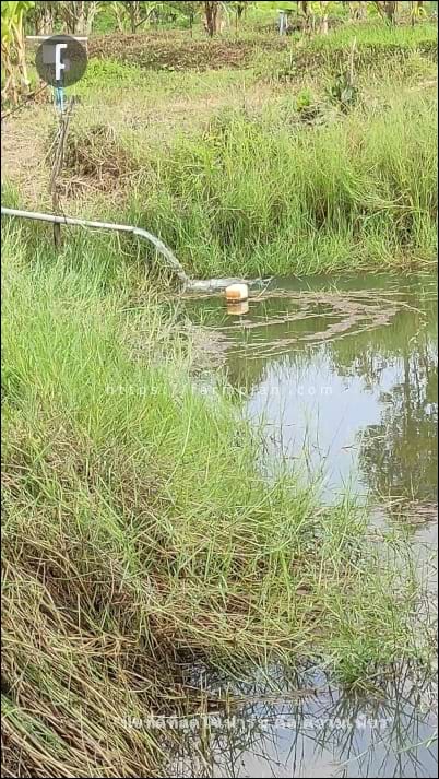 ปั๊มหยุดการทำงาน น้ำก็ไหลลงสระเล็กๆ ของฟาร์มเช่นเดิม