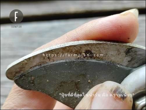 สังเกตคมมีดของกรรไกรตัดกิ่งดีๆ จะเห็นว่า ส่วนคมมันพับมาทางด้านหน้าอย่างเห็นได้ชัด