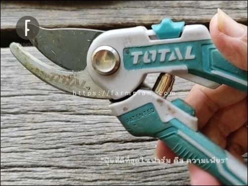 ท่านแม่ยืนยันว่า ลับคมแล้ว ออกแรงน้อย เบาแรงขึ้นเยอะจริงๆ ทีนี้ล่ะก็ ถามบ่อยๆ เลยว่า ลับกรรไกรตัดกิ่งให้แม่รึยัง เพราะท่านแม่ใช้งานบ่อยจริงๆ