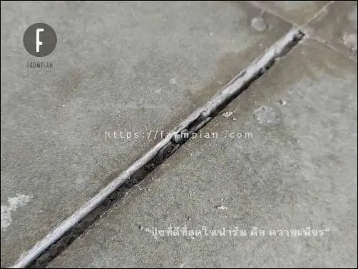 ตอนแรก เข้าใจว่า แค่เซะร่องให้ลึกก็พอแล้ว แต่ที่ไหนได้ เนื้อปูนกาวที่เหลือไว้ในร่อง กลับสร้างปัญหาให้กับเราในภายหลัง