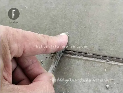 เดี๋ยวจะลองดึง เศษซิลิโคนแบบลูกครึ่งนี้ให้ดูว่า มันยืดหยุ่นดีขนาดไหน แต่เราพลาดเอง ที่ทำความสะอาดร่อง ช่องว่างระหว่างแผ่นซีเมนต์บอร์ดไม่ดี