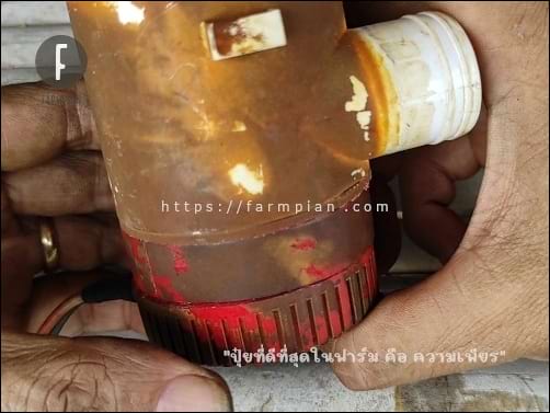 ลองประกอบชิ้นส่วนทั้งหมดเข้าด้วยกันก่อน โดยยังไม่ทากาว แล้วทดสอบดู ด้วยการใช้นิ้ว หรือวัสดุอื่น ลองหมุนใบพัดปั๊มน้ำ ดูว่ามีอะไรติดขัดการหมุนหรือไม่? ปรากฏว่า ทุกอย่างเรียบร้อยดี