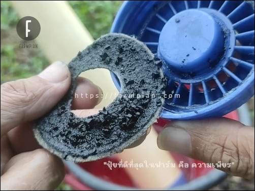 ใยกรองบางๆ ค่อนข้างตัน จากฝุ่นผง คาร์บอน เพราะกระบอกกรองนี้ บรรจุคาร์บอนเกร็ด ทำจากกะลามะพร้าวเผา